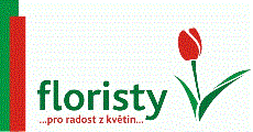 logo Floristy